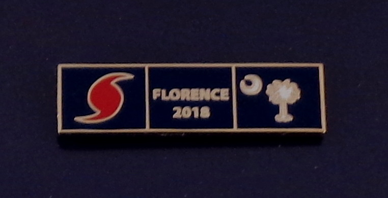 HURRICANE FLORENCE 2018 South Carolina GOLD Uniform Award/Commendation Bar pin